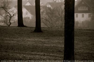 photographie “Le Jour ni l’Heure 9701 : Messkirch, le jardin du château, d’où part de “Feldweg” de Martin Heidegger, Bade-Wurtemberg, vendredi 7 mars 2014, 16:34:44” par Renaud Camus — www.renaud-camus.net — parc, park, garten, schloss, château, burg, castle, Messkirch, Heidegger, Martin Heidegger, Der Feldweg, le chemin de campagne, Zimmern, Furtstemberg, Fürtsenberg, arbres, trees, jardin, Jardin du Château