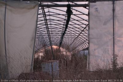 photographie “Le Jour ni l’Heure 7466 : Étude pour les roses et les bleus — Jouhan-la-Hougue, L’Isle-Bouzon, Gers, Gascogne, mercredi 3 août 2022, 21:35:30” par Renaud Camus — www.renaud-camus.net — L’Isle-Bouzon, Jouhan-la-Hougue, Gers, Gascogne, Étude pour les roses et les gris