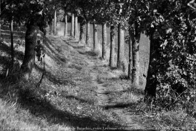 photographie “Le Jour ni l’Heure 9364 : En Lomagne — du cêté de Bidon et Barachin, entre Lectoure et Castet-Arrouy, samedi 8 octobre 2022, 16:51:21” par Renaud Camus — www.renaud-camus.net — Barachin, Bidon, Lectoure, Castet-Arrouy, chemin, Lomagne, En Lomagne, Gers, Gascogne