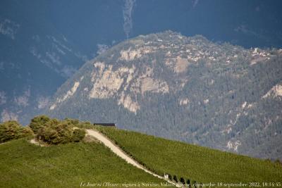 photographie “Le Jour ni l’Heure 8853 : vignes à Savièse, au-dessus de Sion, Valais, Suisse romande, dimanche 18 septembre 2022, 18:14:45” par Renaud Camus — www.renaud-camus.net