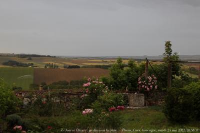 photographie “Le Jour ni l’Heure 5530 : En Lomagne — jardin sous la pluie — Plieux, Gers, Gascogne, mardi 24 mai 2022, 20:58:31” par Renaud Camus — www.renaud-camus.net — Plieux, jardin, jardin sous la pluie, jardin Cabestaing, Cabestaing, Lomagne, En Lomagne, Gers, Gascogne