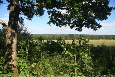 photographie “Le Jour ni l\'Heure 8050 : paysage du Småland, vue prise du jardin de Lilla Björka, maison de l\'écrivain Elin Wägner, 1882-1949, à Berg, commune de Växjö, Suède, dimanche 18 juillet 2011, 15:40:22.” par Renaud Camus — www.renaud-camus.net — house, maisons d'écrivain, writer's houses, demeures de l'esprit, writer, romancier, romancière, novellist, essayiste, essayist, féministe, feminist, féminisme, feminism, littérature, literature, Sweden, Sverige, architecture, architecte, architect, Simon Gate