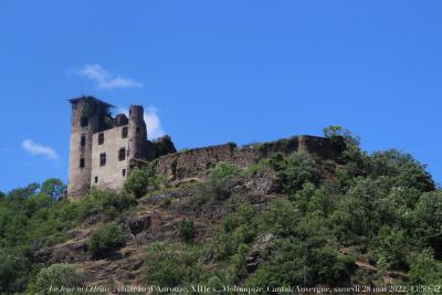 photographie “Le Jour ni l‘Heure 5773 : château d‘Aurouze, XIIIe s., Molompize, Cantal, Auvergne, samedi 28 mai 2022, 13:50:32” par Renaud Camus — www.renaud-camus.net — Aurouze, château d'Aurouze, Molompize, Cantal, Auvergne, château, ruines, château-fort