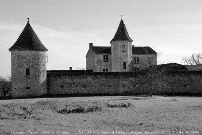 photographie “Le Jour ni l’Heure 3157 : château de Savaillan, XCVe-XVIe s., Sarrant, Gers, Gascogne, dimanche 26 mars 2017, 18:28:09” par Renaud Camus — www.renaud-camus.net — Savaillan, Sabaillan, château de Savaillan, Sarrant, Sarran, Gers, Lomagne, En Lomagne, Gascogne, château, manoir