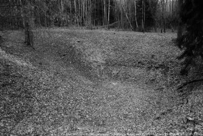 photographie “Le Jour ni l’Heure 0909 : Buchenwald, fosse aux cendres, dans les bois de l’Ettersberg, Weimar, Thuringe, jeudi 24 février 2022, 16:12:23” par Renaud Camus — www.renaud-camus.net — Le Jour ni l’Heure 0909, Buchenwald, fosse aux cendres, bois, Ettersberg, Weimar, Thuringe, jeudi 24 février 2022, 16:12:23, Shoah, mémoire, mort, souvenir, extermination, génocide