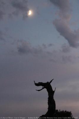 photographie “Le Jour ni l‘Heure 7480 : Lune et Dragon — Jouhan-la-Hougue, L’Isle-Bouzon, Gers, Gascogne, mercredi 3 août 2022, 21:54:57” par Renaud Camus — www.renaud-camus.net — Deagon, Dragon, Lune, Lune et Dragon, Lune & Dragon, Jouhan-la-Houghe, L’Isle-Bouzon, Gers, Gascogne