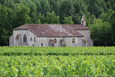 photographie “IMG_6961” par Renaud Camus — www.renaud-camus.net