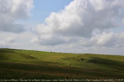 photographie “Le Jour ni l’Heure 9906 : Paysage de la Haute-Auvergne — pentes du puy Violent, entre Saint-Paul-de-Salers et Le Fau, Cantal, vendredi 2 août 2024, 13:36:29” par Renaud Camus — www.renaud-camus.net — paysage, Paysage de la Haute-Auvergne, Saint-Paul-de-Salers, Le Fau, Cantal, Auvergne, fenaison, meules, puy Violent, Cumine