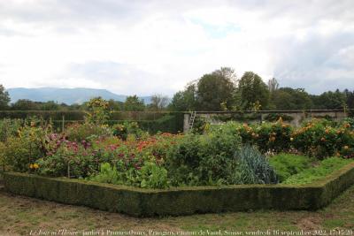 photographie “Le Jour ni l’Heure 8692 : jardin à Promenthoux, Prangins, canton de Vaud, Suisse, vendredi 16 septembre 2022, 17:15:20” par Renaud Camus — www.renaud-camus.net — Promenthoux, Côte-Rôtie, Prangins, jardin, jardin à Promenthoux, Vaud, canton de Vaud, Suisse, walled garden, wall garden, jardin clos