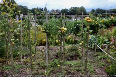 photographie “Le Jour ni l’Heure 8693 : jardin clos à Promenthoux, Prangins, canton de Vaud, Suisse, vendredi 16 septembre 2022, 17:15:50” par Renaud Camus — www.renaud-camus.net — Promenthoux, Prangins, jardin, jardin clos, walled garden, Vaud, canton de Vaud, Suisse