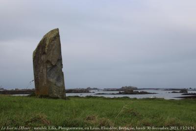 photographie “Le Jour ni l’Heure 8852 : menhir, Lilia, Plouguerneau, en Léon, Finistère, Bretagne, lundi 30 décembre 2024, 13:24:34” par Renaud Camus — www.renaud-camus.net — menhir, Lilia, Plouguerneau, Léon, Léonnois, Finistère, Bretagne