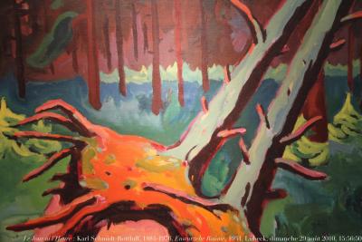 photographie “Le Jour ni l\'Heure 0647 : Karl Schmidt-Rottluff, 1884-1976, Entwurzelte Baüme, 1934, exposition \