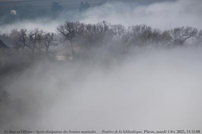 photographie “Le Jour ni l’Heure 0758 : Après dissipation des brumes matinales — Fenêtre de la bibliothèque, Plieux, Gers, mardi 4 février 2025, 11:35:08” par Renaud Camus — www.renaud-camus.net — Après dissipation des brumes matinales, brume, brouillard, Fenêtre de la bibliothèque, Plieux, Gers, Gascogne, Lomagne, En Lomagne