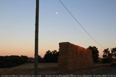 photographie “IMG_7068” par Renaud Camus — www.renaud-camus.net