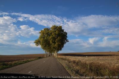 photographie “Le Jour ni l’Heure 9516 : La Place du mort — D. 953, entre Saint-Clar et L’Isle-Bouzon, Gers, samedi 15 octobre 2022, 17:41:02” par Renaud Camus — www.renaud-camus.net — La Place du mort, route, D. 953, Gers, Saint-Clar, L'Isle-Bouzon, Gascogne, arbres, ciel