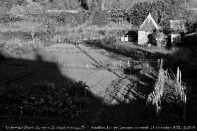 photographie “Le Jour ni l’Heure 1675 : La vie est là, simple et tranquille — Astaffort, Lot-et-Garonne, Agenais, mercredi 21 décembre 2022, 15:26:34” par Renaud Camus — www.renaud-camus.net — La vie est là, simple et tranquille, Verlaine, Paul Verlaine, Astaffort, jardin, jardin potager