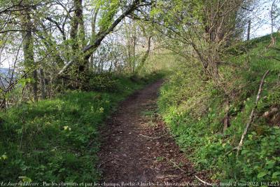 photographie “Le Jour ni l’Heure 4359 : Par les chemins et par les champs, Roche-Charles-La-Mayrand, sur le Cézallier, Puy-de-Dôme, Auvergne, lundi 2 mai 2022, 19:12:23” par Renaud Camus — www.renaud-camus.net — Par les chemins et par les champs, chemin, path, Roche-Charles-La-Mayrand, Cézallier, Puy-de-Dôme, Auvergne