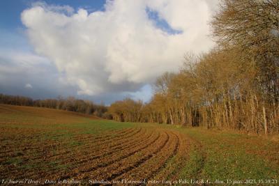 photographie “Le Jour ni l’Heure 2596 : Dans le Brulhois — Sabathès, sur l’Estressol, entre Cuq et Fals, Lot-et-Garonne, Agenais, dimanche 15 janvier 2023, 15:59:23” par Renaud Camus — www.renaud-camus.net — Cuq, Fals, Lot-et-Garonne, Agenais, Brulhois, En Brulhois, champs, bois, Sabathès