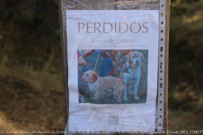 photographie “Le Jour ni l’Heure 1482 : Perdus dans la Sierra — lac Noir de Neila, sierra de la Demanda, province de Burgos, Vieille-Castille, Espagne, samedi 24 août 2024, 17:09:13” par Renaud Camus — www.renaud-camus.net — Perdidos, Sierra de Urbion, Sierra de Neila, Sierra de la Demanda, Laguna Negra de Neila, Perdus dans la Sierra, Neila, Burgos, province de Burgos, provincia de Burgos, Castilla, Castille, Vieille-Castille