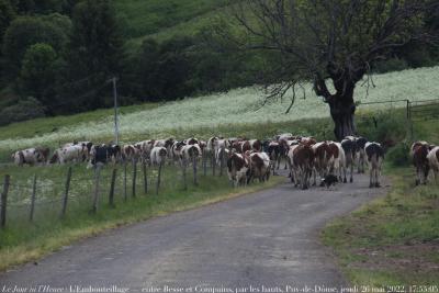 photographie “IMG_5581” par Renaud Camus — www.renaud-camus.net