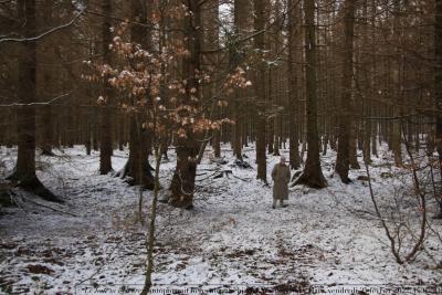 photographie “Le Jour ni l\'Heure : autoportrait hercynien, Schierke, Wernigerode, vendredi 25 février 2022, 15:05:51” par Renaud Camus — www.renaud-camus.net — autoportrait hercynien, Schierke, Wernigerode, vendredi 25 février 2022, 15:05:51, Allemagne, Germany