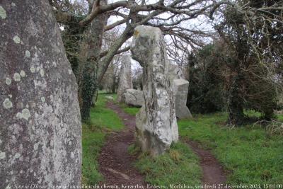 photographie “Le Jour ni l’Heure 8250 : menhir au milieu du chemin, Kerzerho,  Erdeven, Morbihan, Bretagne, vendredi 27 décembre 2024, 15:01:00” par Renaud Camus — www.renaud-camus.net — menhir, menhir au milieu du chemin, Kerzerho, Erdeven, Le Pen, Jean-Marie Le Pen, Morbihan, Bretagne