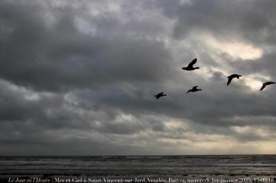 photographie “Le Jour ni l’Heure 9598 : Mer et Ciel à Saint-Vincent-sur-Jard, Vendée, Bas-Poitou, mercredi 1er janvier 2025, 15:09:18” par Renaud Camus — www.renaud-camus.net — ciel, mer, oiseaux, mouettes, cormorans, Saint-Vincent-sur-Jard, Vendée, Bas-Poitou, plage, océan, Atlantique, nuages