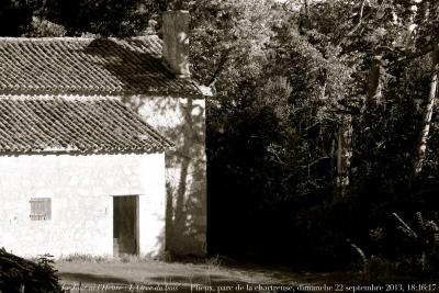 photographie “Le Jour ni l’Heure 9608 : L’Orée du bois — parc de la chartreuse de Plieux, Gers, Gascogne, dimanche 22 septembre 2013, 18:16:17” par Renaud Camus — www.renaud-camus.net — woods, parc, park, architecture