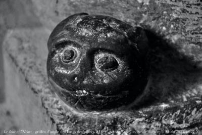 photographie “Le Jour ni l’Heure : griffe d’angle de la base des piliers, tête sphérique, XIIe s., église de Sainte-Engrâce, dans la Soule, Pyrénées-Atlantiques, France, mercredi 9 août 2023, 18:27:56” par Renaud Camus — www.renaud-camus.net — griffe, griffe d’angle, pilier, base, tête sphérique, roman, romane, art roman, Sainte-Engrâce, Soule, Pyrénées, Pyrénées-Atlantiques