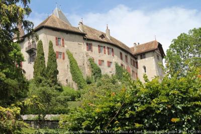 photographie “Le Jour ni l\'Heure 6282 : château de Blonay, XIe-XVe s., canton de Vaud, Suisse, lundi 4 juillet 2011, 14:56:46” par Renaud Camus — www.renaud-camus.net — castle, castello, castillo, burg, schloss, Switzerland, Vevey, Montreux, Confédération helvétique