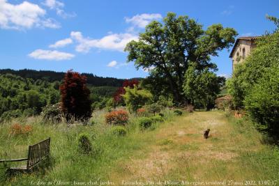 photographie “Le Jour ni l’Heure 5675 : bac, chat, jardin — château du Lac, Le Monestier, Livradois, Puy-de-Dôme, Auvergne, vendredi 27 mai 2022, 13:07:17” par Renaud Camus — www.renaud-camus.net — jardin, terrasse, chat, Le Lac, Le Monestier, château, château du Lac, Gaspard des Montagnes, Livradois, Puy-de-Dôme, Auvergne