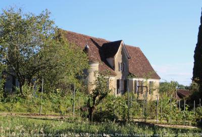 photographie “Le Jour ni l’Heure 0758 : château de Cabidos, XVIe-XVIIIe s., en Béarn, Pyrénées-Atlantiques, mercredi 21 août 2024, 18:35:28” par Renaud Camus — www.renaud-camus.net — Cabidos, château de Cabidos, Béarn, Pyrénées-Atlantiques, château de Trubessé, château, France