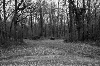 photographie “Le Jour ni l’Heure 2860 : La Promenade d‘hiver — Bois commun, Gimbrède, Gers, Gascogne, dimanche 22 janvier 2023, 15:55:27” par Renaud Camus — www.renaud-camus.net — Gimbrède, Gers, Gascogne, Bois commun, La Promenade d'hiver, hiver, Lomagne, En Lomagne