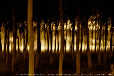 photographie “Le Jour ni l’Heure 6667 : Au bois sacré (hommage à Degouve de Nuncques) — Cazillac, commune de Cazes-Mondenard, Tarn-&-Garonne, mardi 25 juin 2013, 22:21:48” par Renaud Camus — www.renaud-camus.net — Sacred Wood, forêt, plantation, soir, evening, belgian symbolism